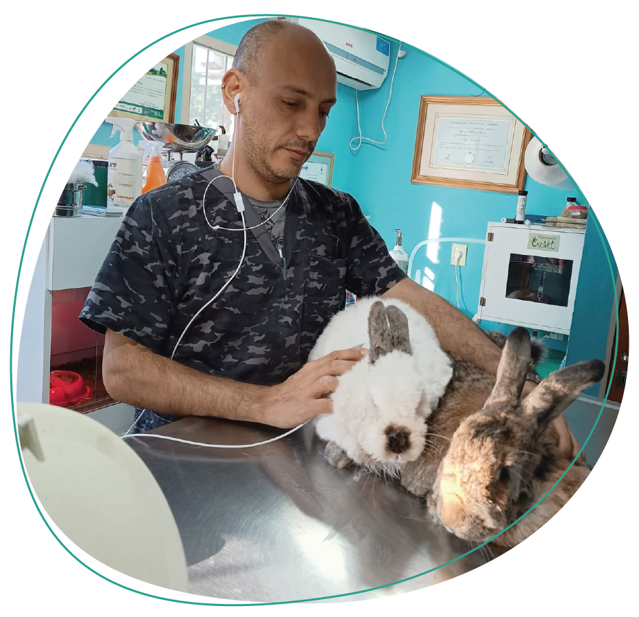 veterinario